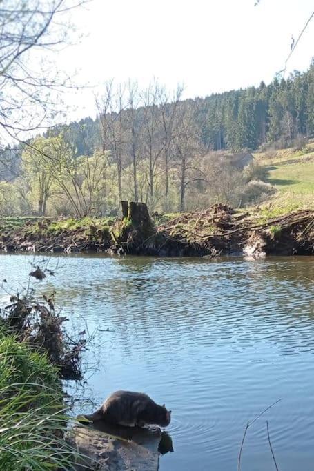 Ferienglueck Im Schwarzwald Apartment Zimmern ob Rottweil Екстериор снимка
